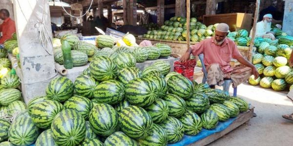 চাপা কষ্টে তরমুজ চাষি, বিক্রেতার অট্টহাসি